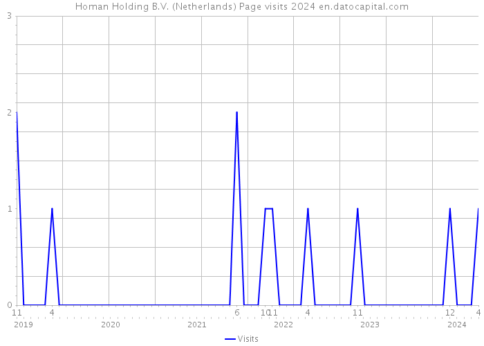 Homan Holding B.V. (Netherlands) Page visits 2024 