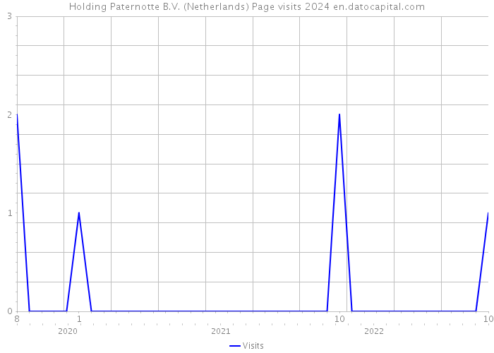 Holding Paternotte B.V. (Netherlands) Page visits 2024 