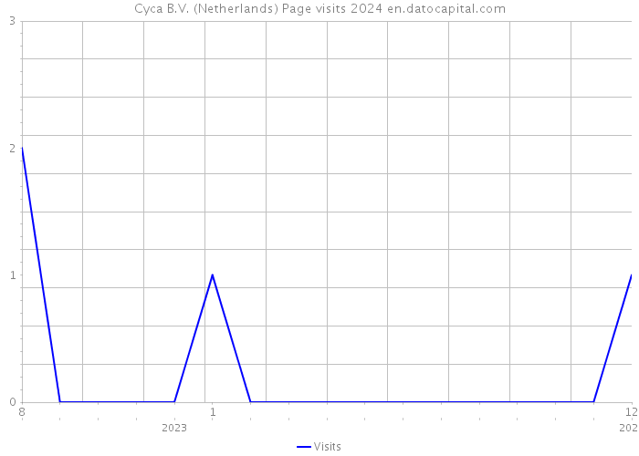 Cyca B.V. (Netherlands) Page visits 2024 
