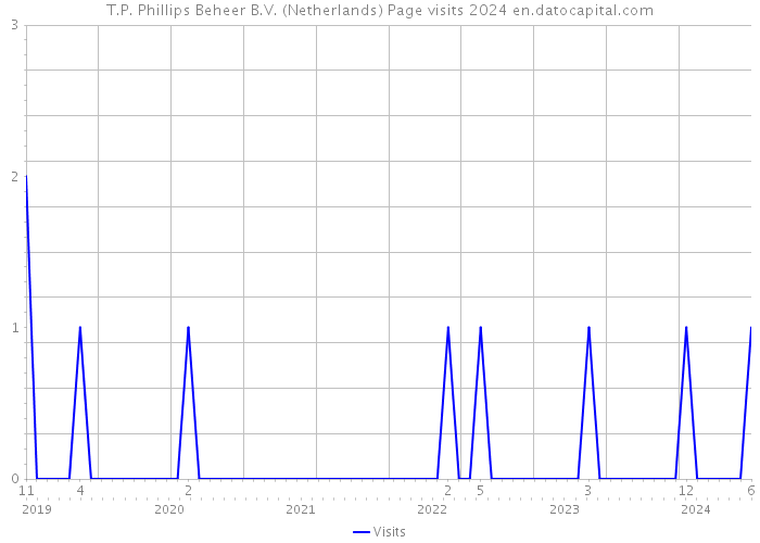 T.P. Phillips Beheer B.V. (Netherlands) Page visits 2024 