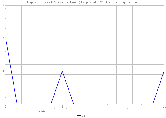 Kapsalon Faas B.V. (Netherlands) Page visits 2024 