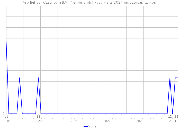 Arp Beheer Castricum B.V. (Netherlands) Page visits 2024 