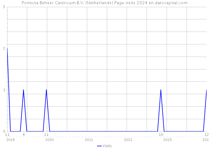 Pomona Beheer Castricum B.V. (Netherlands) Page visits 2024 