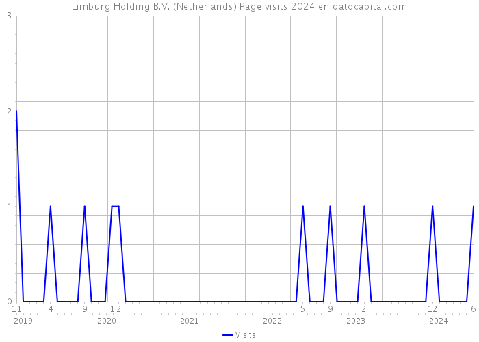 Limburg Holding B.V. (Netherlands) Page visits 2024 