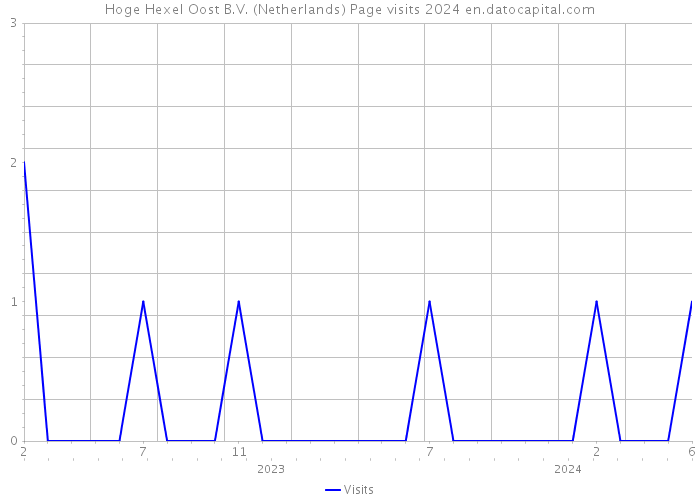Hoge Hexel Oost B.V. (Netherlands) Page visits 2024 