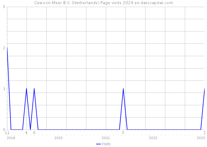 Gewoon Meer B.V. (Netherlands) Page visits 2024 