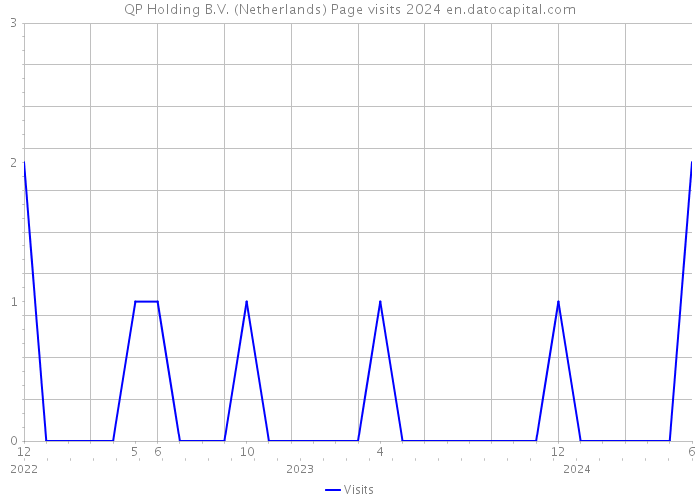 QP Holding B.V. (Netherlands) Page visits 2024 