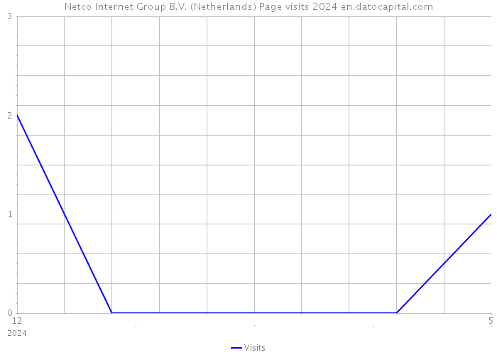 Netco Internet Group B.V. (Netherlands) Page visits 2024 