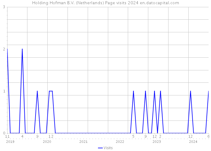 Holding Hofman B.V. (Netherlands) Page visits 2024 