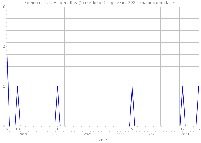 Sommer Trust Holding B.V. (Netherlands) Page visits 2024 