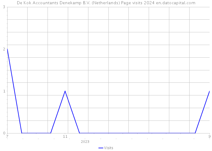 De Kok Accountants Denekamp B.V. (Netherlands) Page visits 2024 