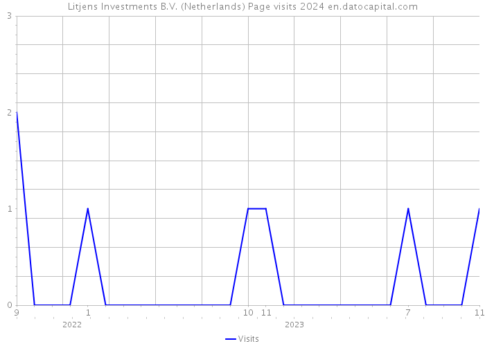 Litjens Investments B.V. (Netherlands) Page visits 2024 