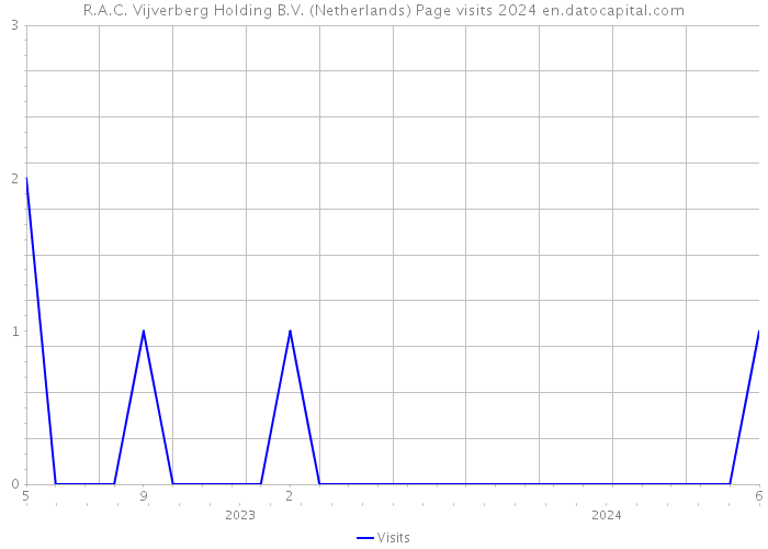 R.A.C. Vijverberg Holding B.V. (Netherlands) Page visits 2024 