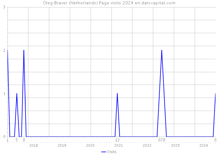 Oleg Braver (Netherlands) Page visits 2024 