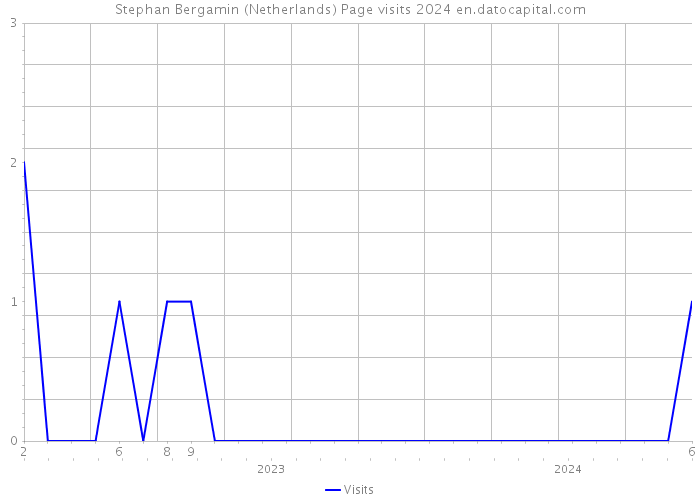 Stephan Bergamin (Netherlands) Page visits 2024 