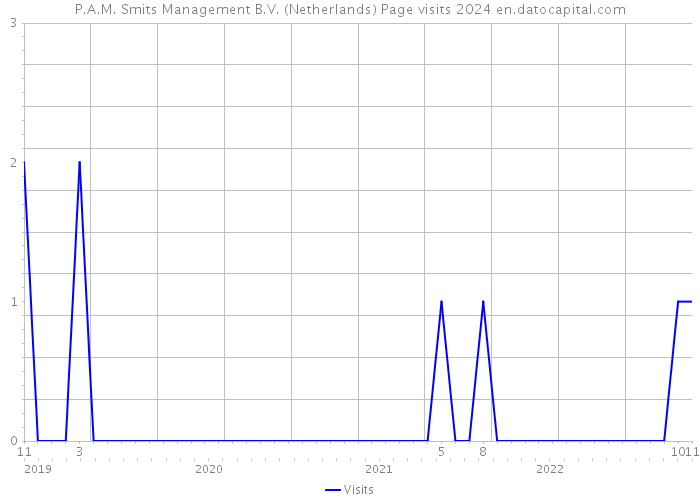 P.A.M. Smits Management B.V. (Netherlands) Page visits 2024 