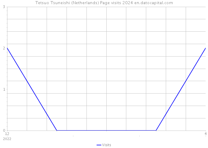 Tetsuo Tsuneishi (Netherlands) Page visits 2024 