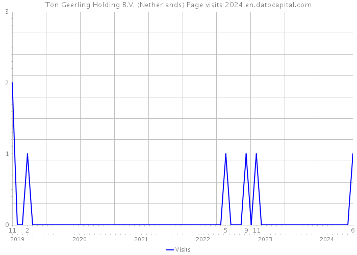Ton Geerling Holding B.V. (Netherlands) Page visits 2024 