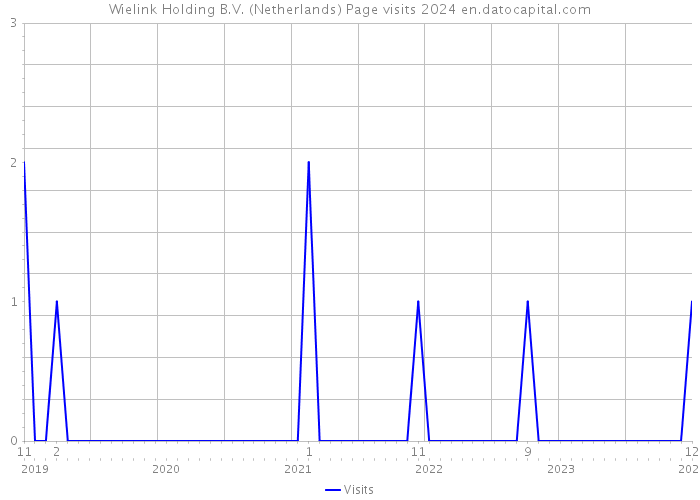 Wielink Holding B.V. (Netherlands) Page visits 2024 