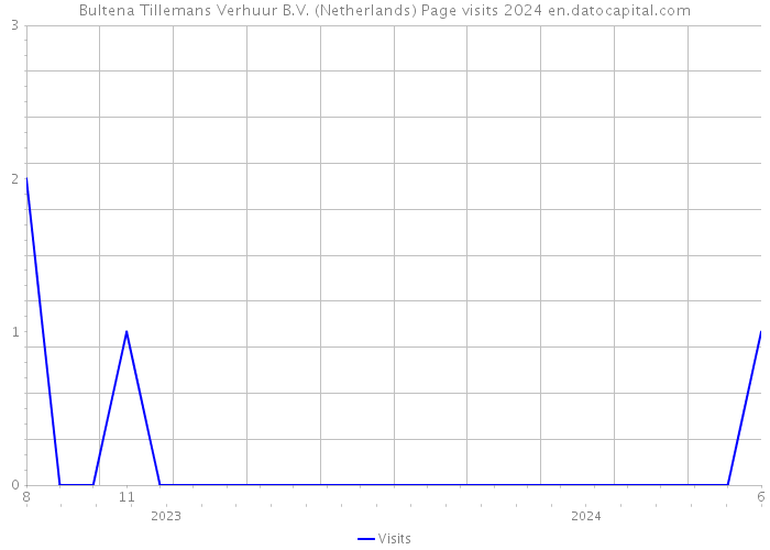 Bultena Tillemans Verhuur B.V. (Netherlands) Page visits 2024 