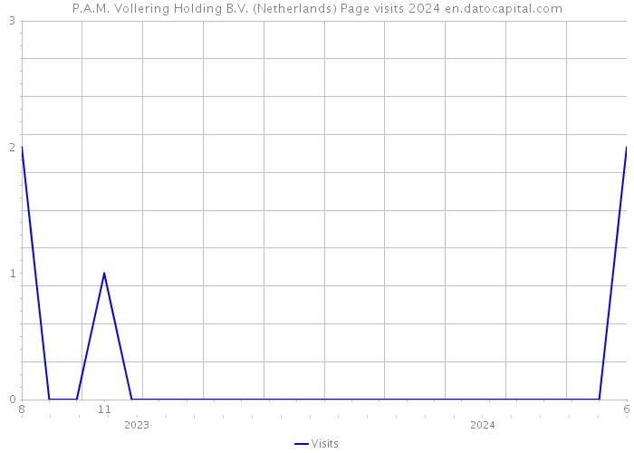 P.A.M. Vollering Holding B.V. (Netherlands) Page visits 2024 