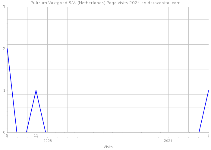 Pultrum Vastgoed B.V. (Netherlands) Page visits 2024 