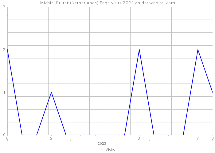 Michiel Ruiter (Netherlands) Page visits 2024 