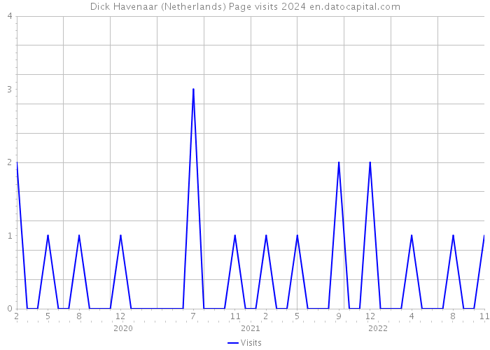 Dick Havenaar (Netherlands) Page visits 2024 