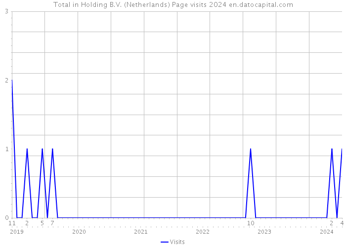 Total in Holding B.V. (Netherlands) Page visits 2024 
