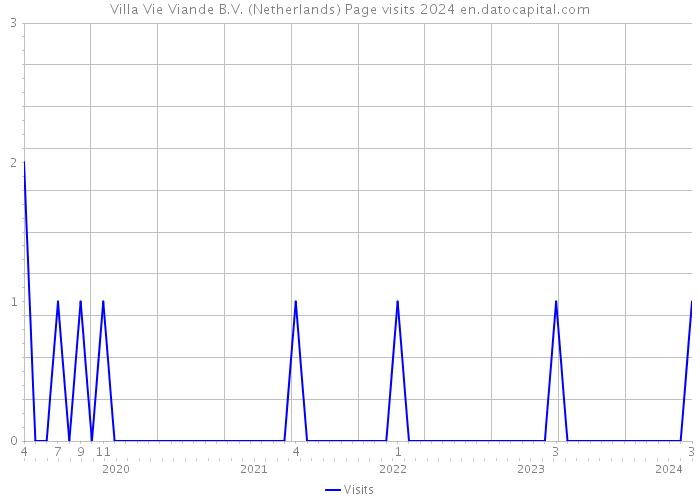 Villa Vie Viande B.V. (Netherlands) Page visits 2024 