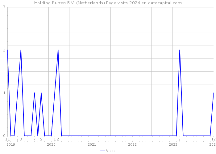 Holding Rutten B.V. (Netherlands) Page visits 2024 