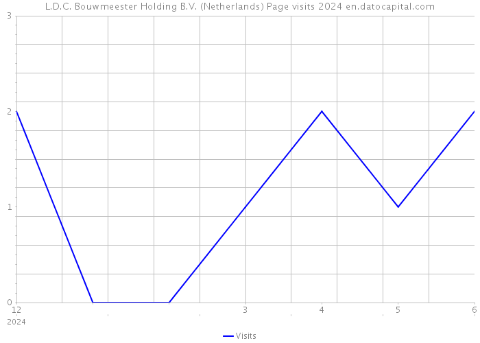 L.D.C. Bouwmeester Holding B.V. (Netherlands) Page visits 2024 