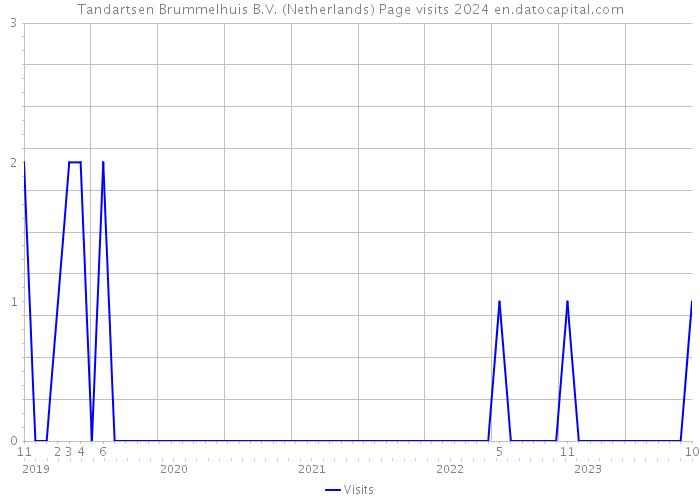 Tandartsen Brummelhuis B.V. (Netherlands) Page visits 2024 
