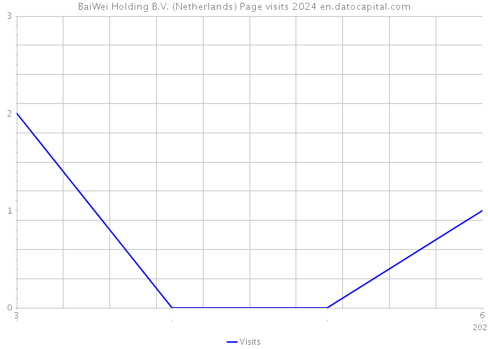 BaiWei Holding B.V. (Netherlands) Page visits 2024 