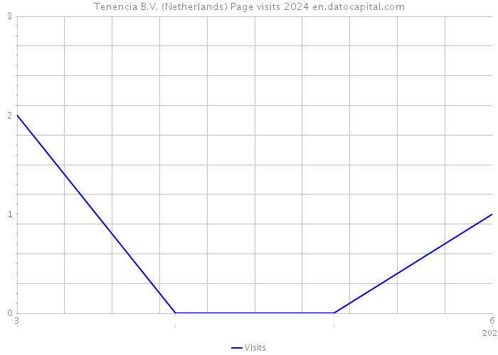 Tenencia B.V. (Netherlands) Page visits 2024 