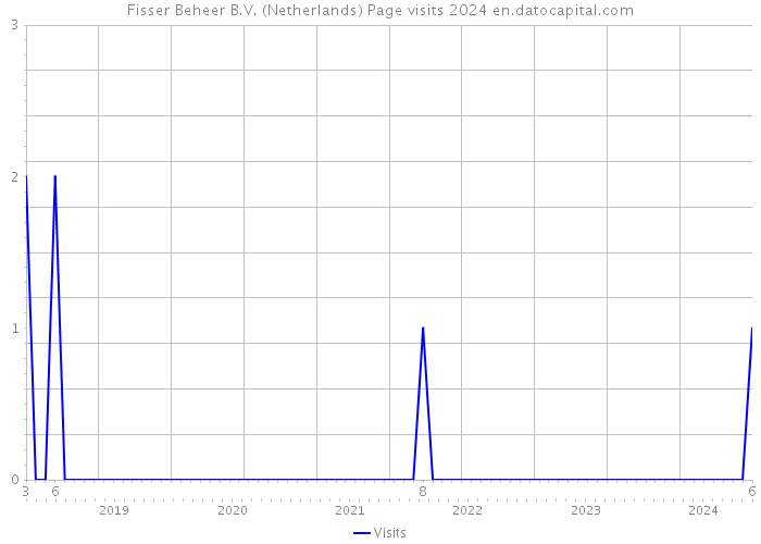 Fisser Beheer B.V. (Netherlands) Page visits 2024 