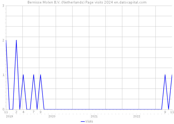 Bernisse Molen B.V. (Netherlands) Page visits 2024 