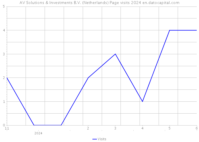 AV Solutions & Investments B.V. (Netherlands) Page visits 2024 