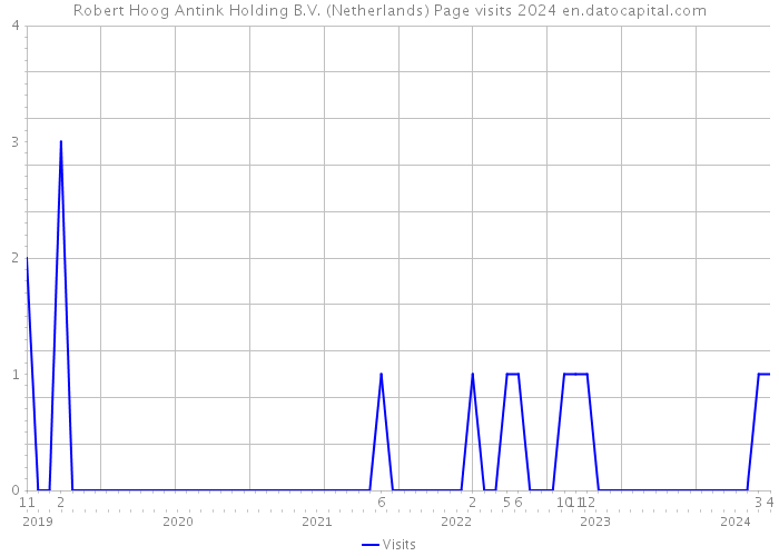 Robert Hoog Antink Holding B.V. (Netherlands) Page visits 2024 