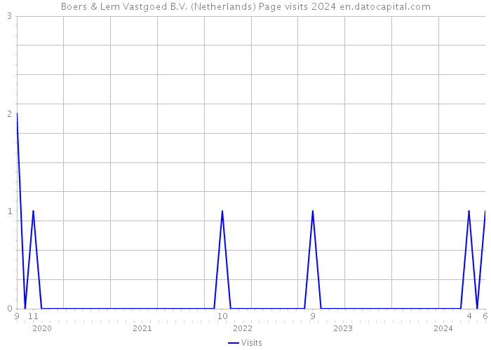 Boers & Lem Vastgoed B.V. (Netherlands) Page visits 2024 