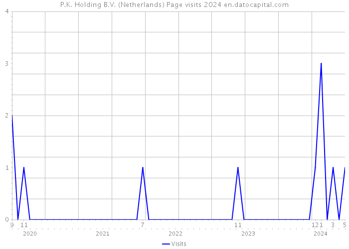 P.K. Holding B.V. (Netherlands) Page visits 2024 