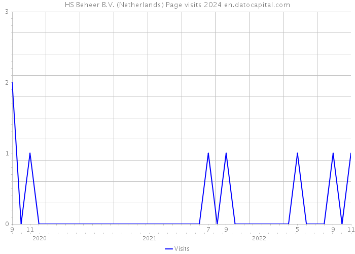 HS Beheer B.V. (Netherlands) Page visits 2024 