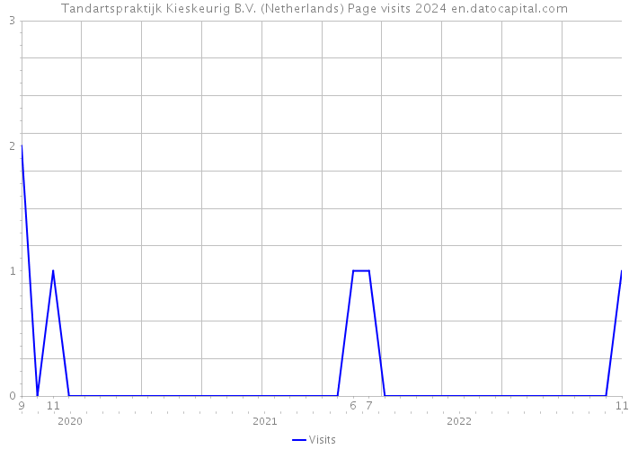 Tandartspraktijk Kieskeurig B.V. (Netherlands) Page visits 2024 
