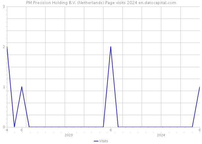 PM Precision Holding B.V. (Netherlands) Page visits 2024 