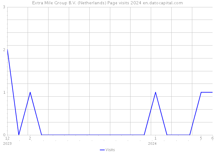 Extra Mile Group B.V. (Netherlands) Page visits 2024 