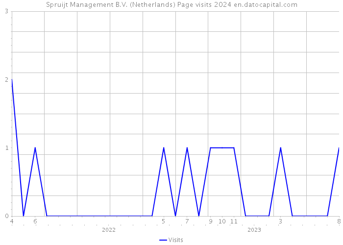 Spruijt Management B.V. (Netherlands) Page visits 2024 