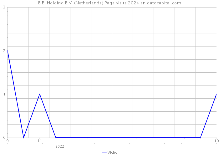 B.B. Holding B.V. (Netherlands) Page visits 2024 