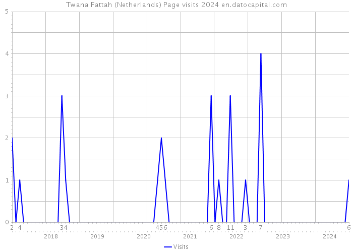 Twana Fattah (Netherlands) Page visits 2024 