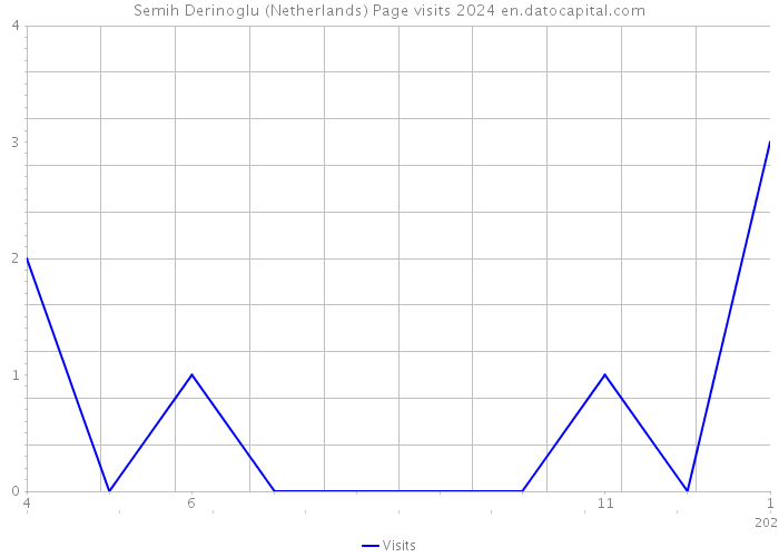Semih Derinoglu (Netherlands) Page visits 2024 