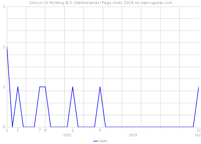 Gibson GI Holding B.V. (Netherlands) Page visits 2024 